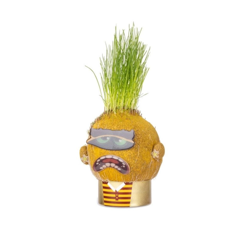 Hape Juegos de Exterior Proyecto plantas Monstruo Moody Mary - Hape 848103