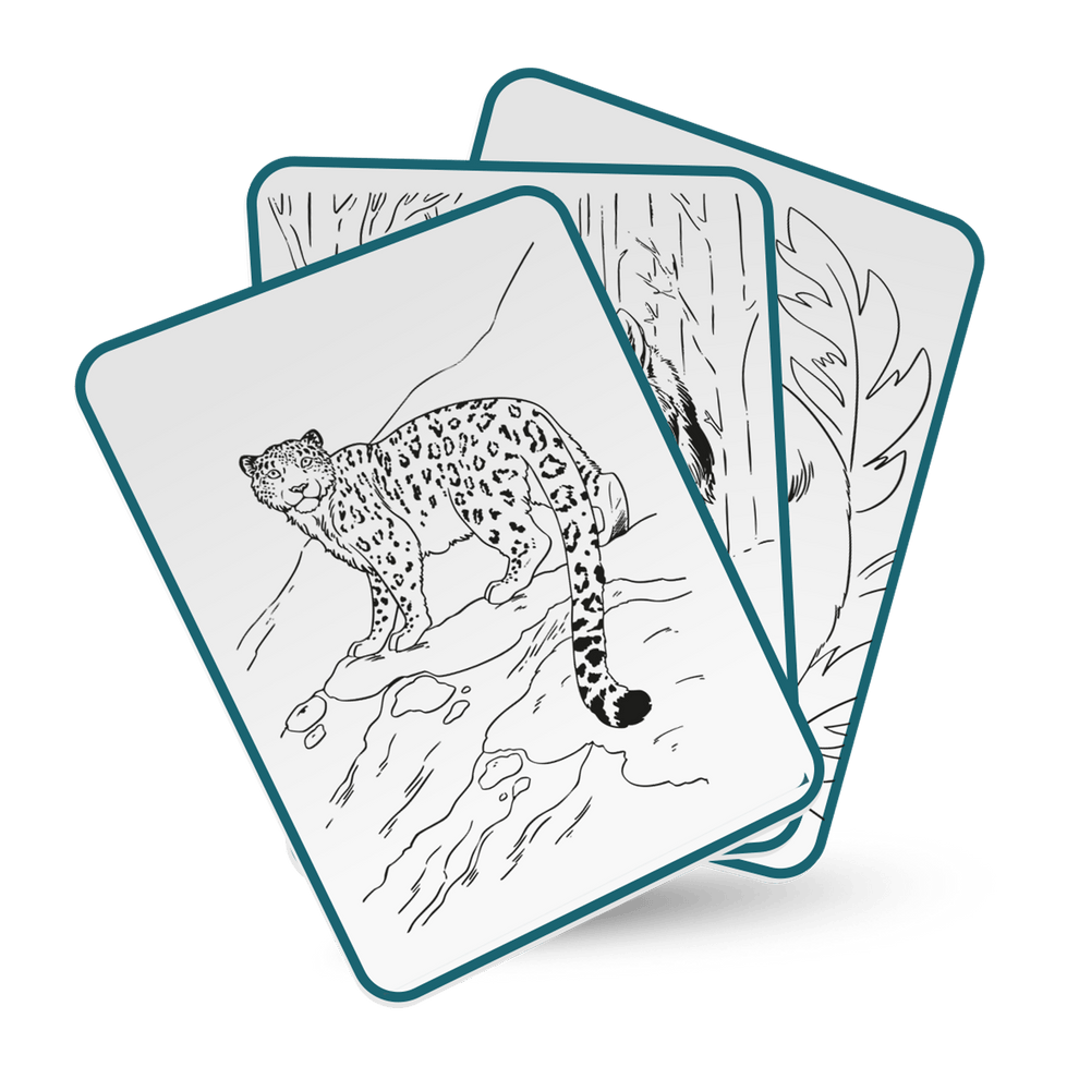 Kidywolf Arte / Manualidades Tablet de dibujo Kidydraw Pad Animals - Kidywolf KIDYDRAW-PAD8-ANI