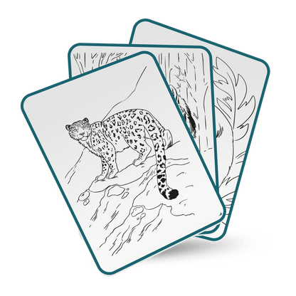 Kidywolf Arte / Manualidades Tablet de dibujo Kidydraw Pad Animals - Kidywolf KIDYDRAW-PAD8-ANI