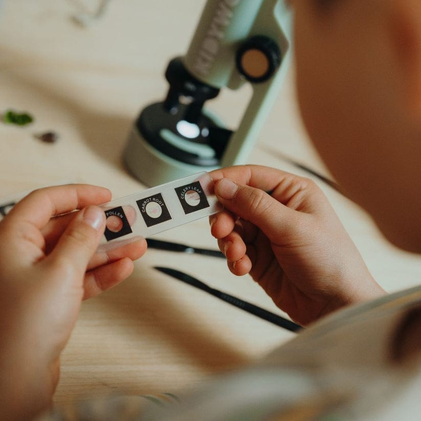 Kidywolf Juegos de Ciencia Microscopio portátil - Kidywolf KIDYMICROSCOPE-GR