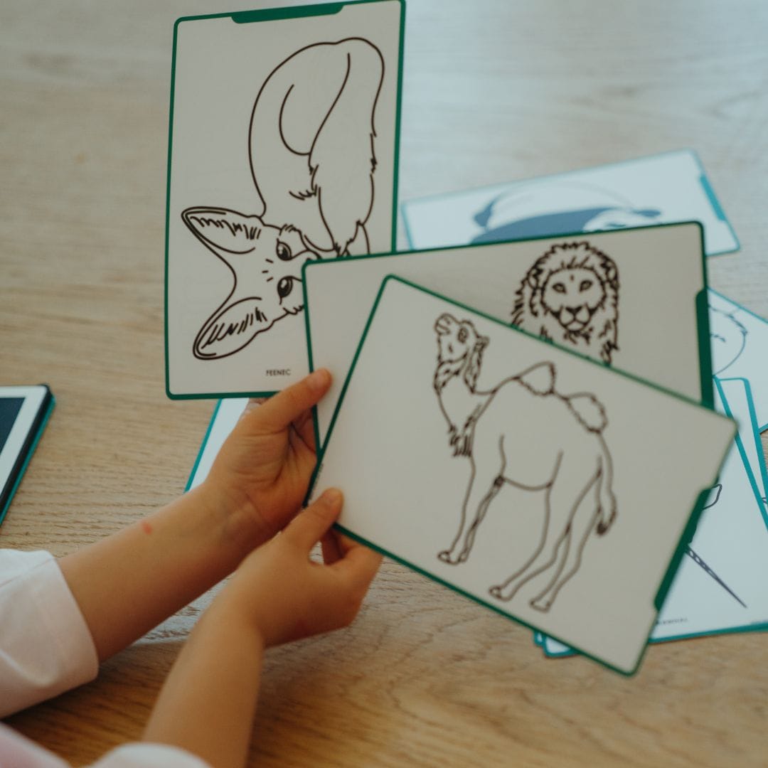 Kidywolf Recambios de tarjetas para Kidydraw Animals around the world y Oceans and pirates - Kidywolf REFIL-DRAW-MINI-AAW-OPI