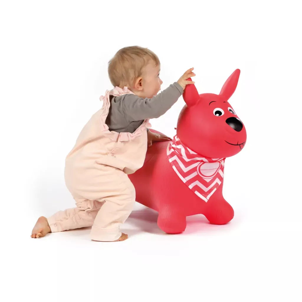 Ludi Pelota Saltarina de perro rojo - Ludi LU90043