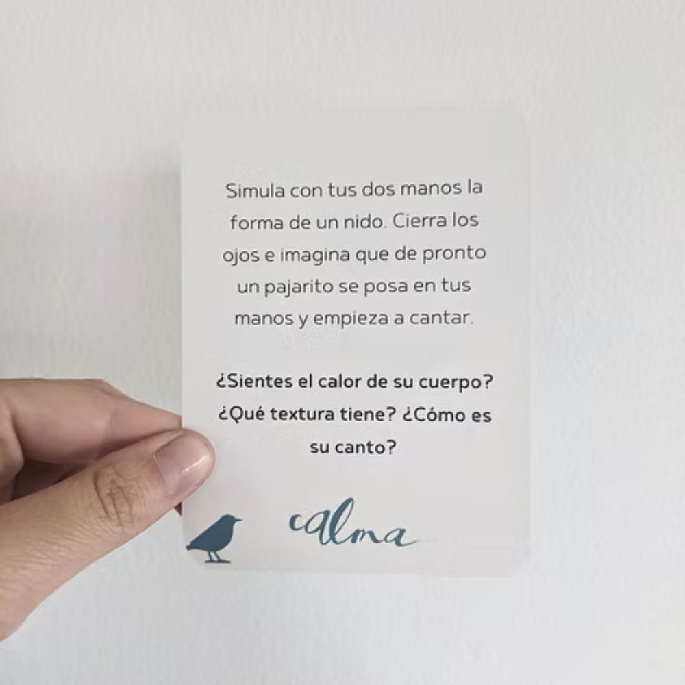 Minilupa Libro Actividades Cartas Calma - Minilupa 978956092246