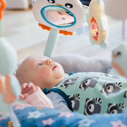 Playgro Juguetes de actividades para bebés Gimnasio Acurrúcame Pingüino - Playgro 01230268178