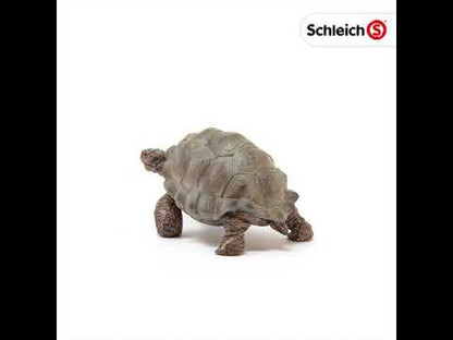 Tortuga gigante coleccionable - Schleich