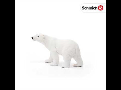 Oso Polar coleccionable - Schleich