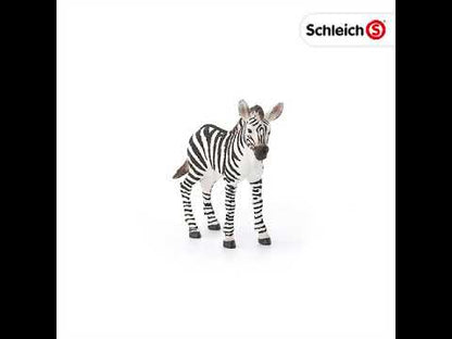 Zebra bebé coleccionable - Schleich