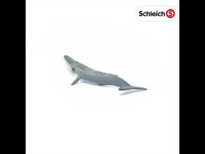 Ballena Azul coleccionable - Schleich