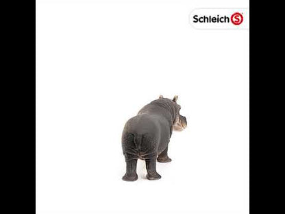 Hipopótamo coleccionable - Schleich