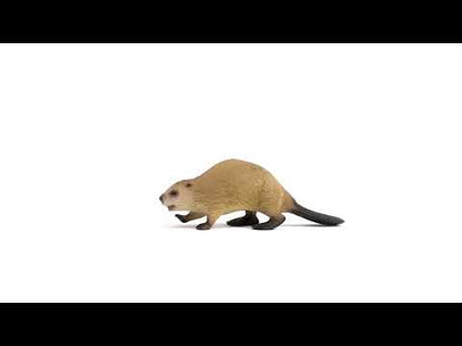 Castor coleccionable - Schleich
