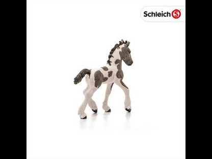 Potro Tinker coleccionable - Schleich