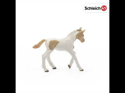 Potro con pelaje manchado coleccionable - Schleich