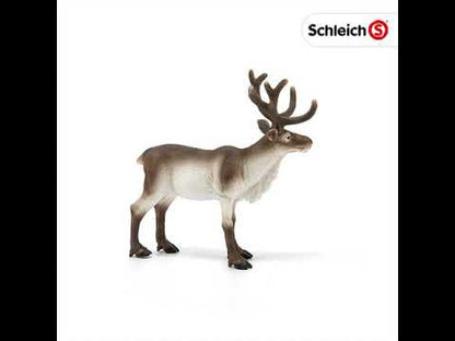 Reno coleccionable - Schleich
