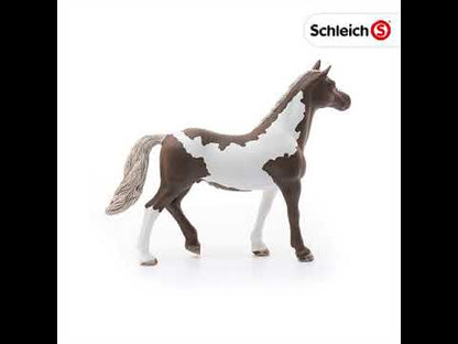 Caballo Pintado castrado - Schleich