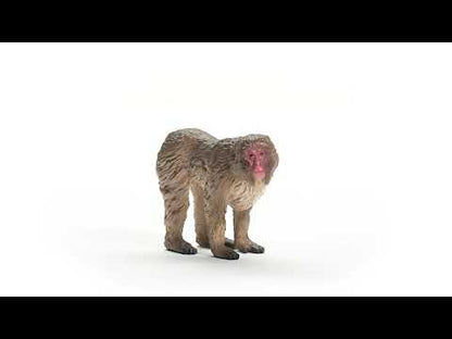 Macaco japonés coleccionable - Schleich