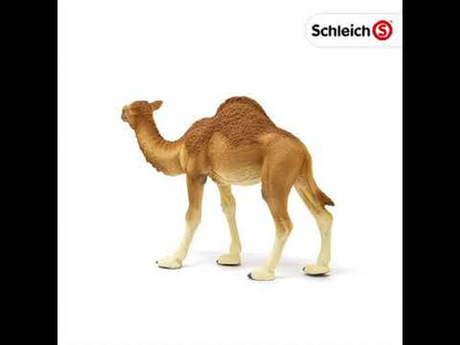 Dromedario coleccionable - Schleich