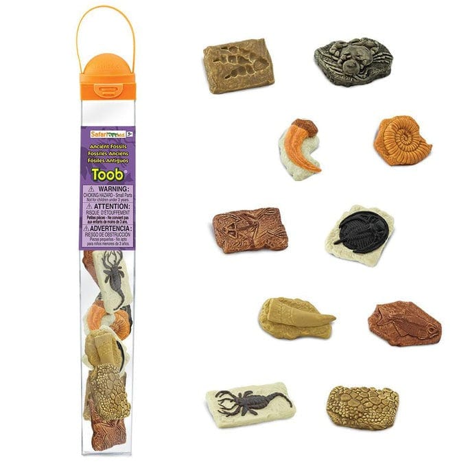SAFARI Animales y Dinosaurios Coleccionables Fósiles Antiguos Coleccionables TOOB SA684804