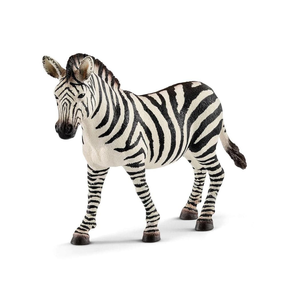 Schleich Animales y Dinosaurios Animal coleccionable Cebra hembra Wild Life - Schleich SCH14810
