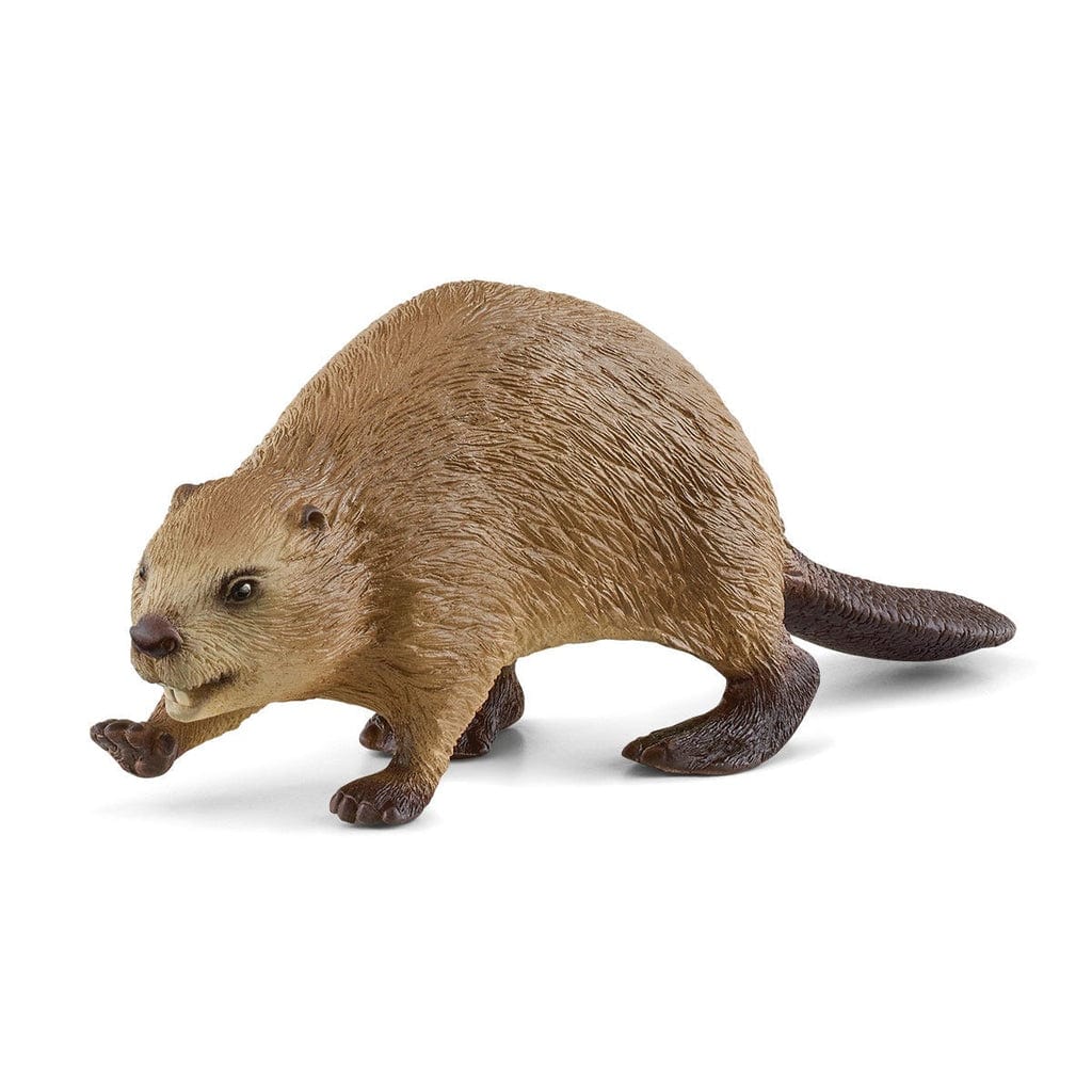 Schleich Animales y Dinosaurios Castor coleccionable - Schleich SCH14855