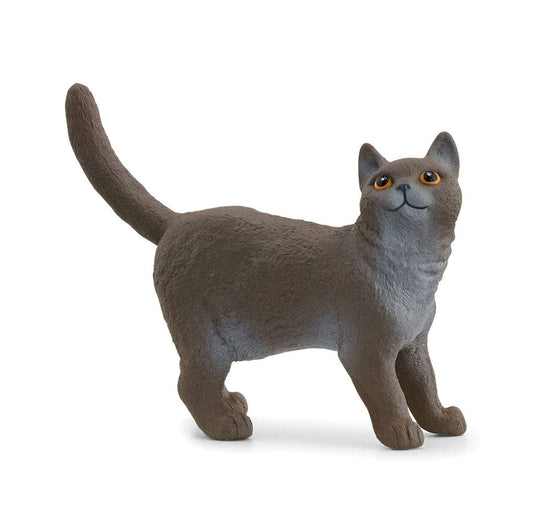Schleich Animales y Dinosaurios Gato británico de pelo corto - Schleich SCH13973