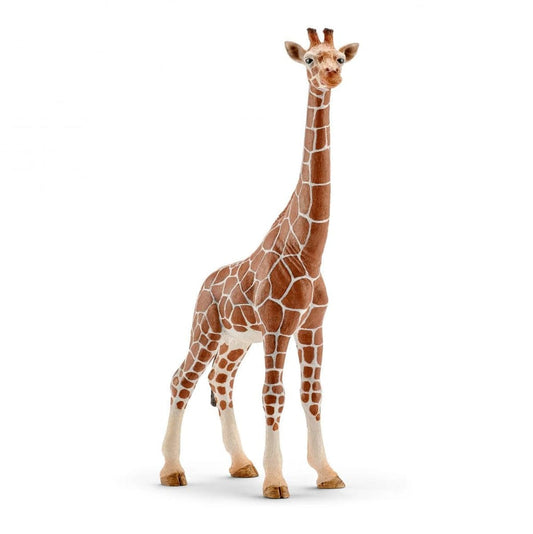 Schleich Animales y Dinosaurios Jirafa hembra coleccionable - Schleich SCH14750