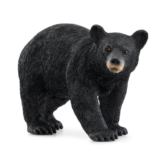 Schleich Animales y Dinosaurios Oso negro americano coleccionable - Schleich SCH14869