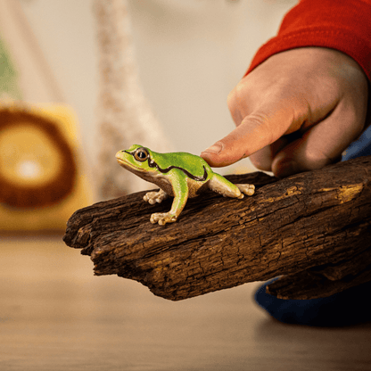 Schleich Animales y Dinosaurios Rana arbórea europea coleccionable - Schleich SCH14882