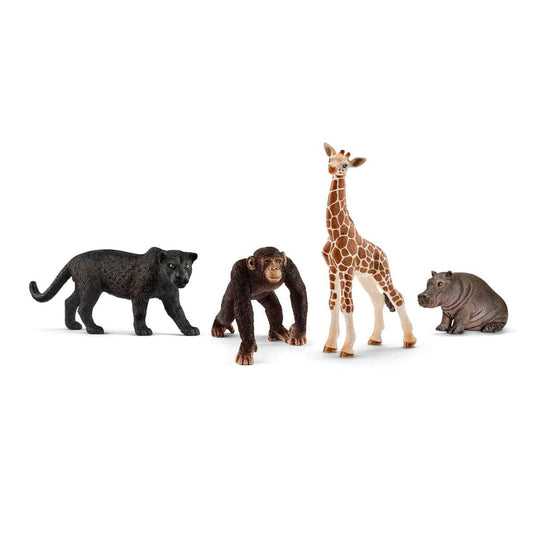 Schleich Animales y Dinosaurios Set de inicio Wild Life coleccionable - Schleich SCH72162