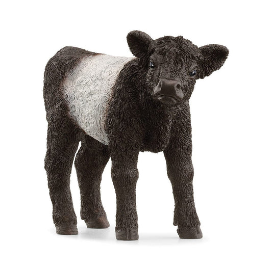 Schleich Animales y Dinosaurios Ternero de Galloway - Schleich SCH13969