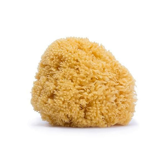 Suavinex Cuidado Personal Esponja Grande natural en canastilla 70221