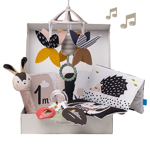 Taf Toys Juguetes de actividades para bebés Kit para recién Nacido Black & white - Taf Toys 13475