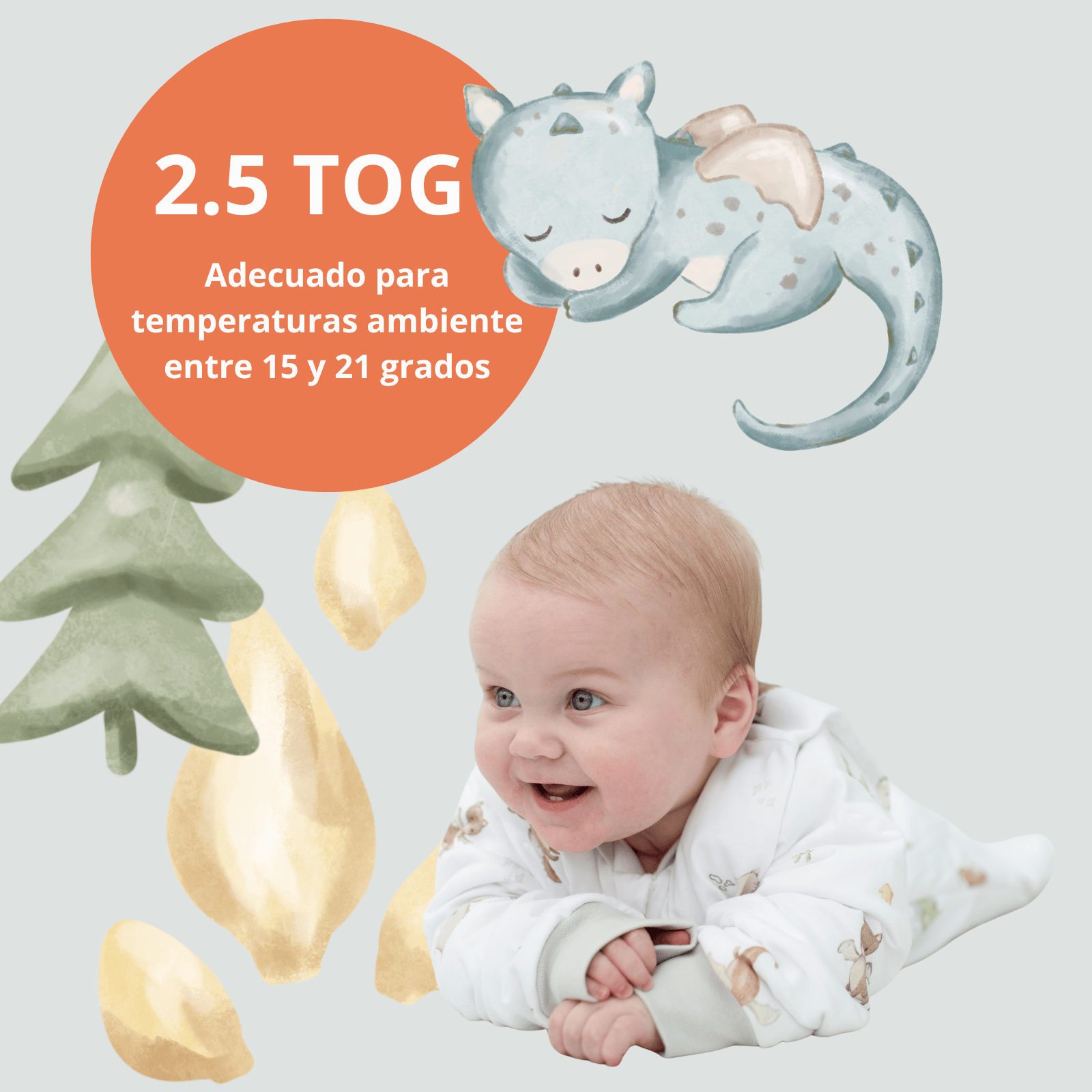 The Dream Bag Sacos de Dormir Saquito de Dormir Dragons 0–6 meses TOG 2.5 – The Dream Bag DB-SL6-25-1