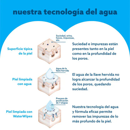 WaterWipes Toallas Húmedas Toallitas Húmedas Bio WaterWipes Caja  12 x 48 unidades WW129