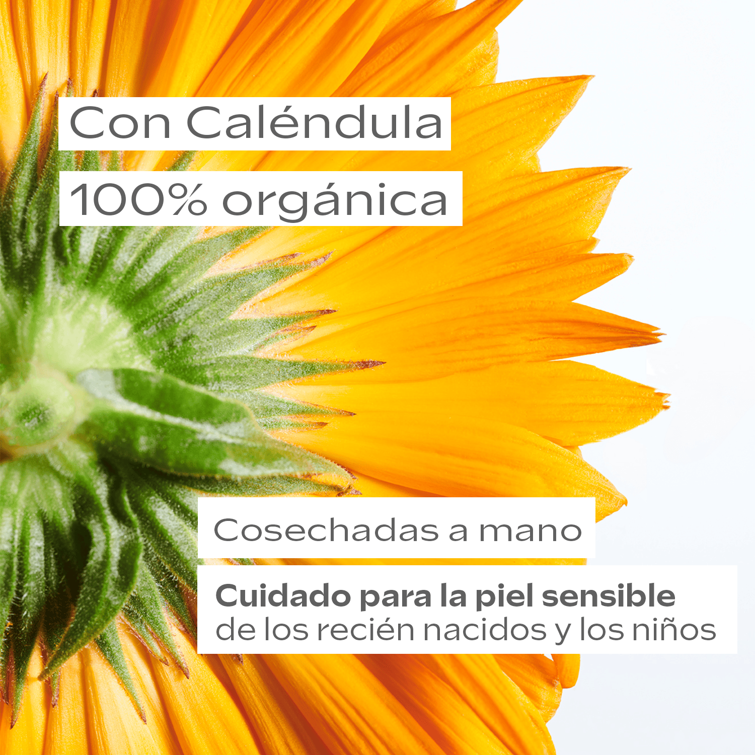 Weleda Cuidado Personal Pack Caléndula Recién Nacido - Weleda