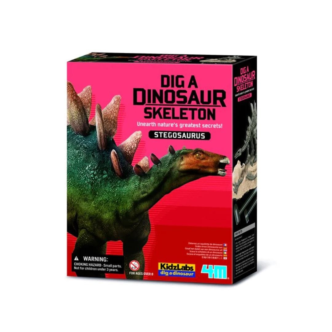 4M Arte y Manualidades Laboratorio de Ciencia Excava Dinosaurio Stegosaurus 00-03229