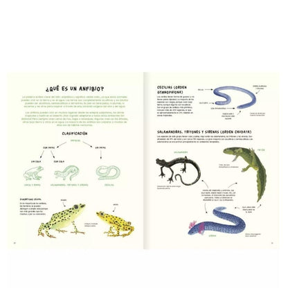 AMANUTA Libros Agua, Tierra, Anfibios Y Reptiles De América 978-956-364-263-6