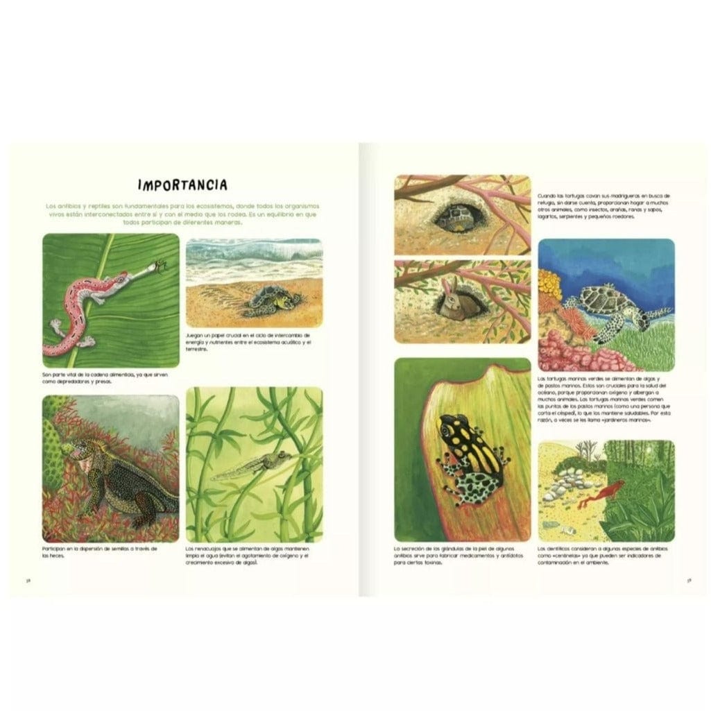 AMANUTA Libros Agua, Tierra, Anfibios Y Reptiles De América 978-956-364-263-6