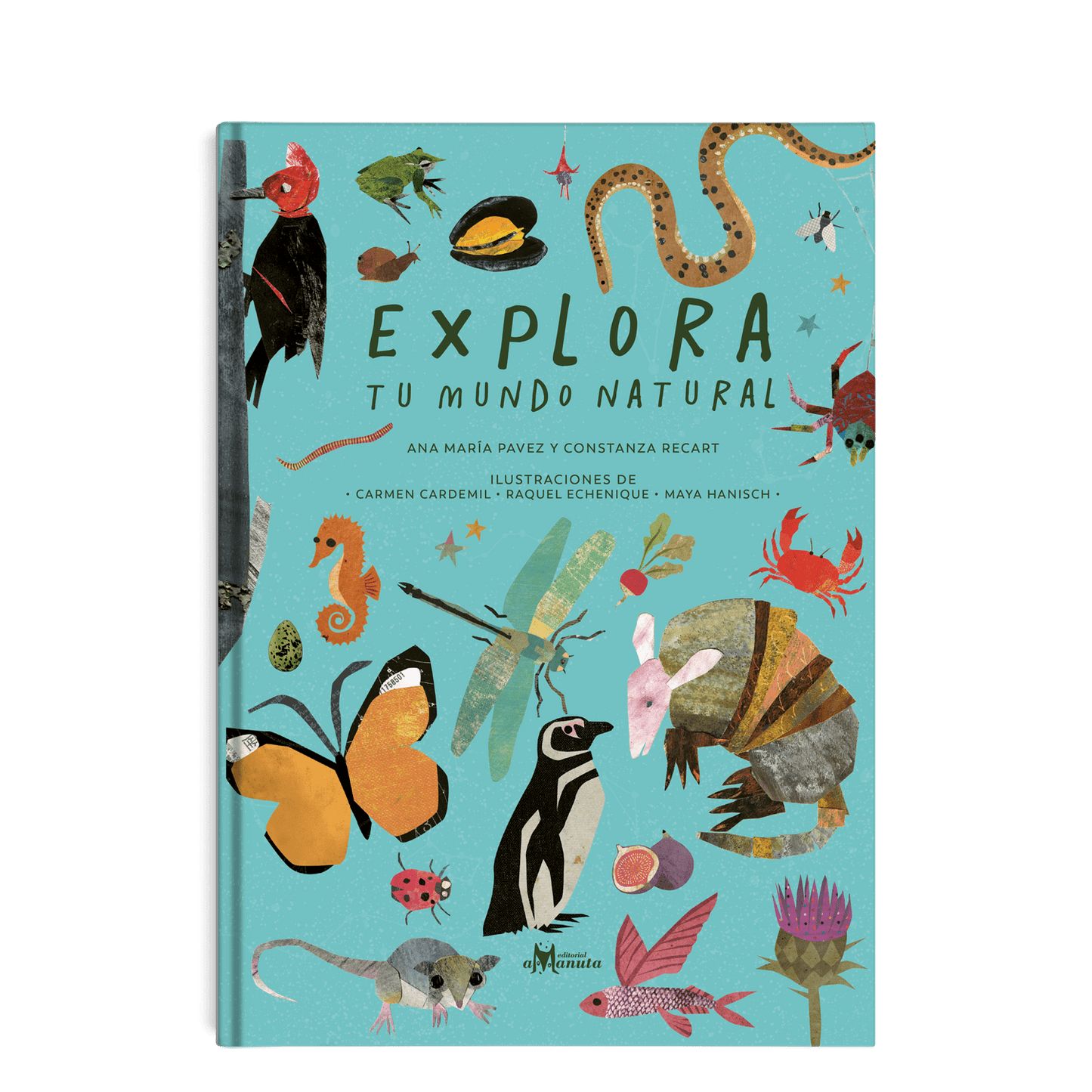 AMANUTA Libros Explora tu mundo natural 978-956-364-136-3