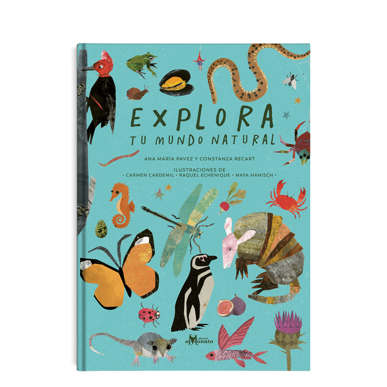 AMANUTA Libros Explora tu mundo natural 978-956-364-136-3