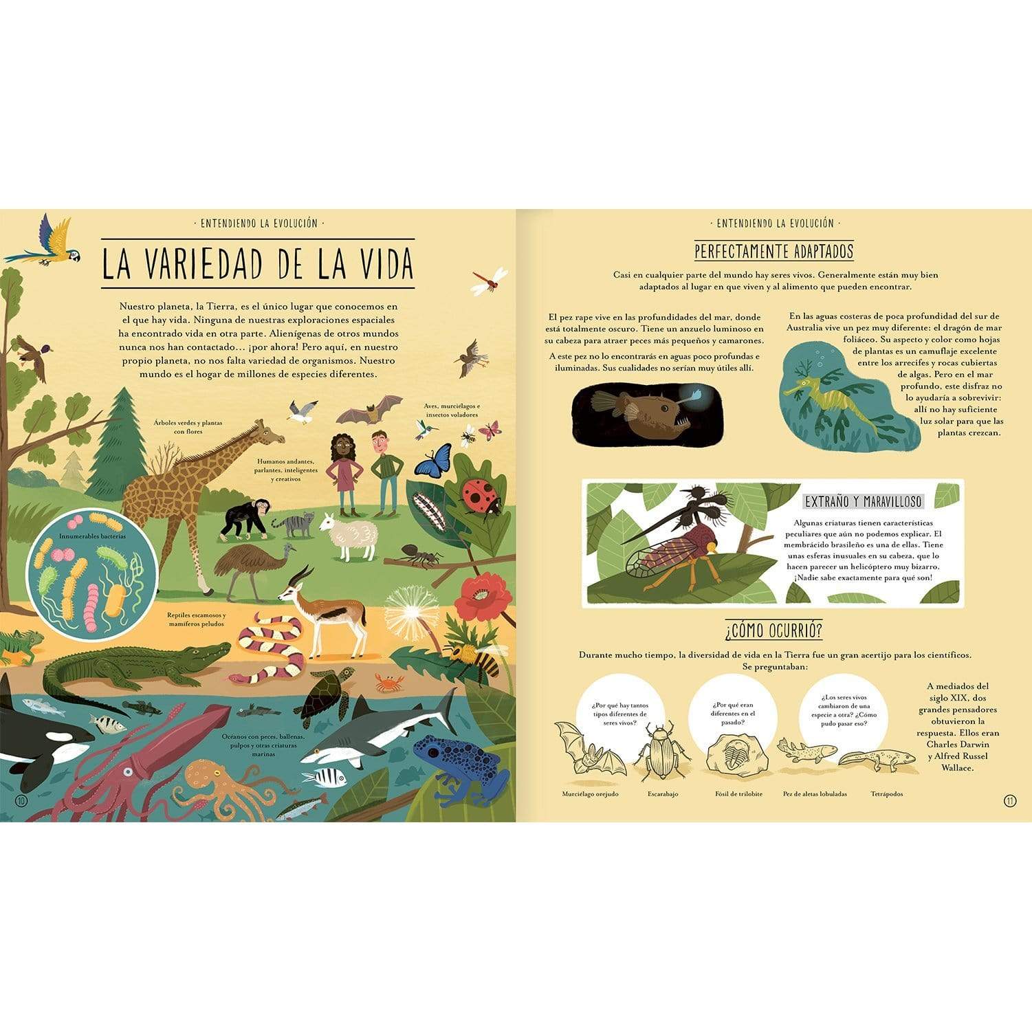 AMANUTA Libros Increíble Evolución 978-956-364-110-3