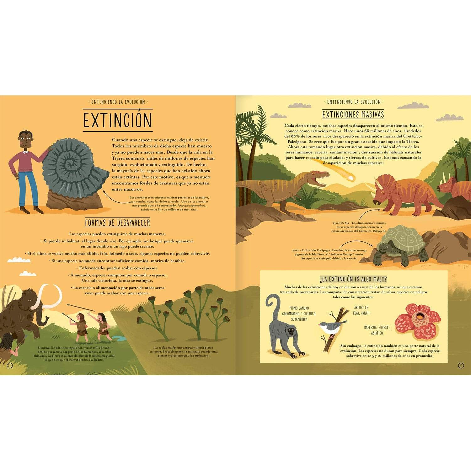 AMANUTA Libros Increíble Evolución 978-956-364-110-3