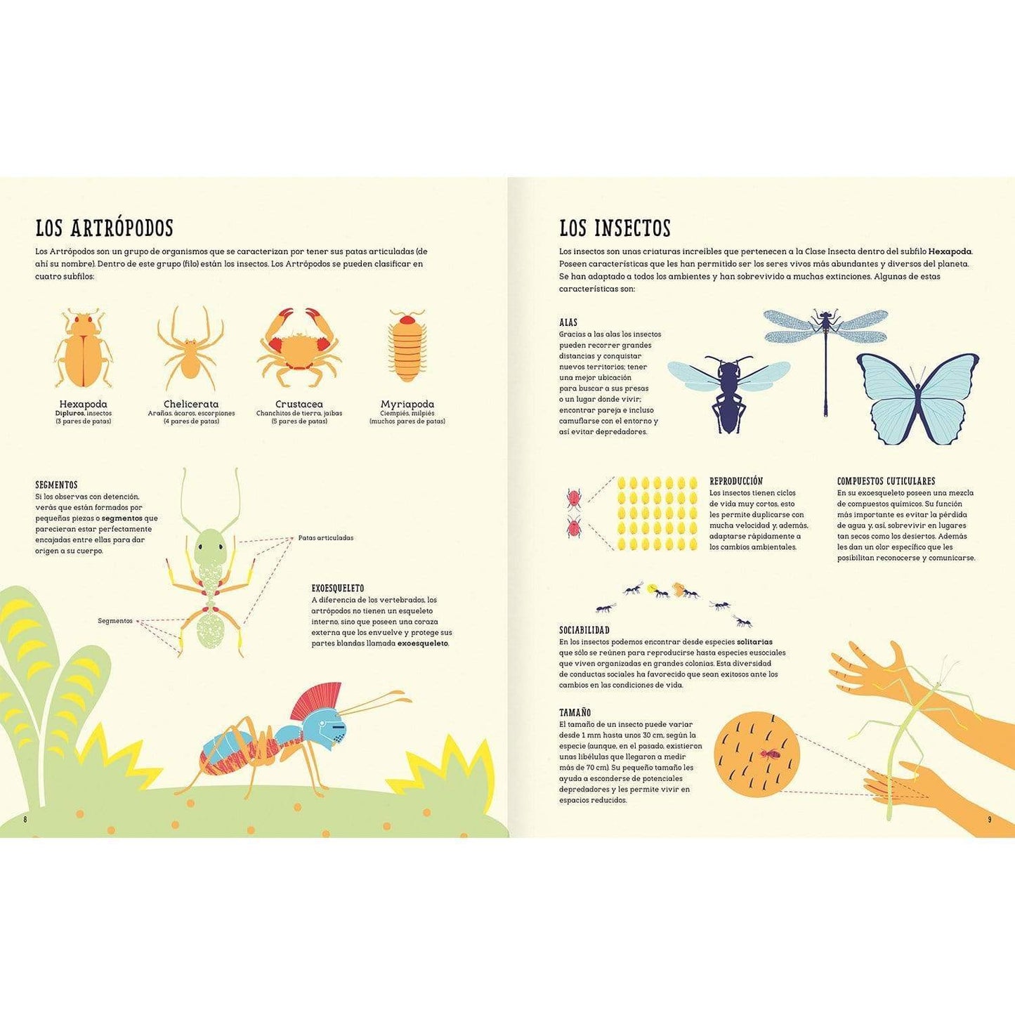 AMANUTA Libros Insectopedia 978-956-364-054-0