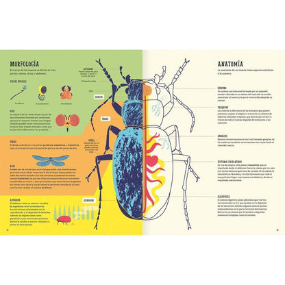 AMANUTA Libros Insectopedia 978-956-364-054-0