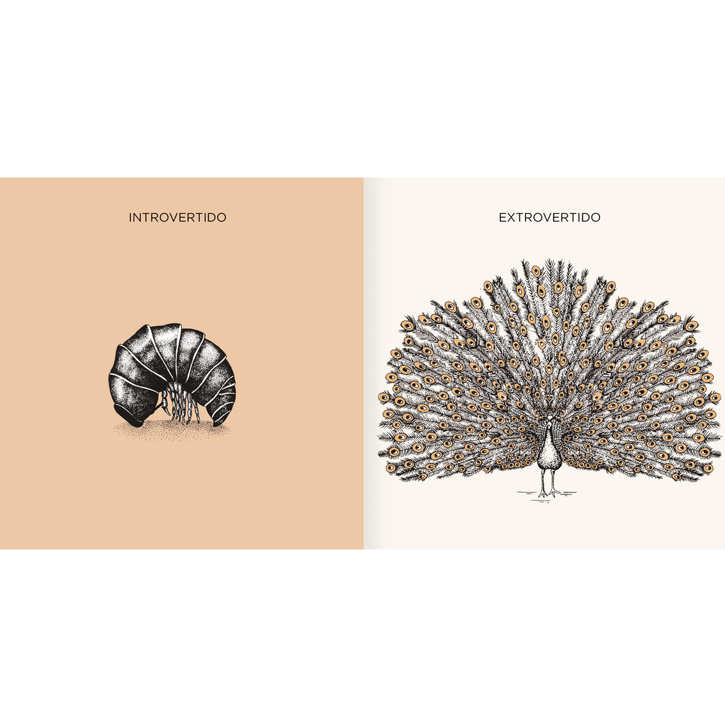 AMANUTA Libros Mi Naturalza 978-956-364-251-3