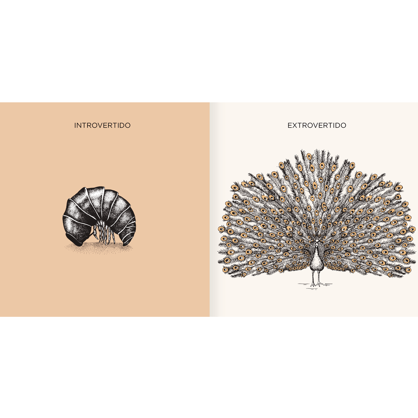 AMANUTA Libros Mi Naturalza 978-956-364-251-3