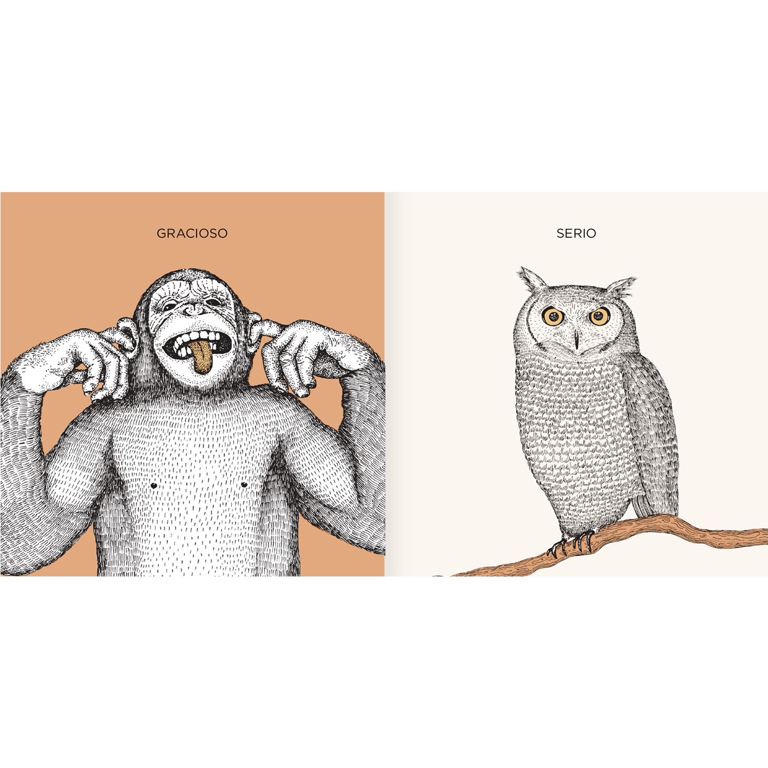 AMANUTA Libros Mi Naturalza 978-956-364-251-3