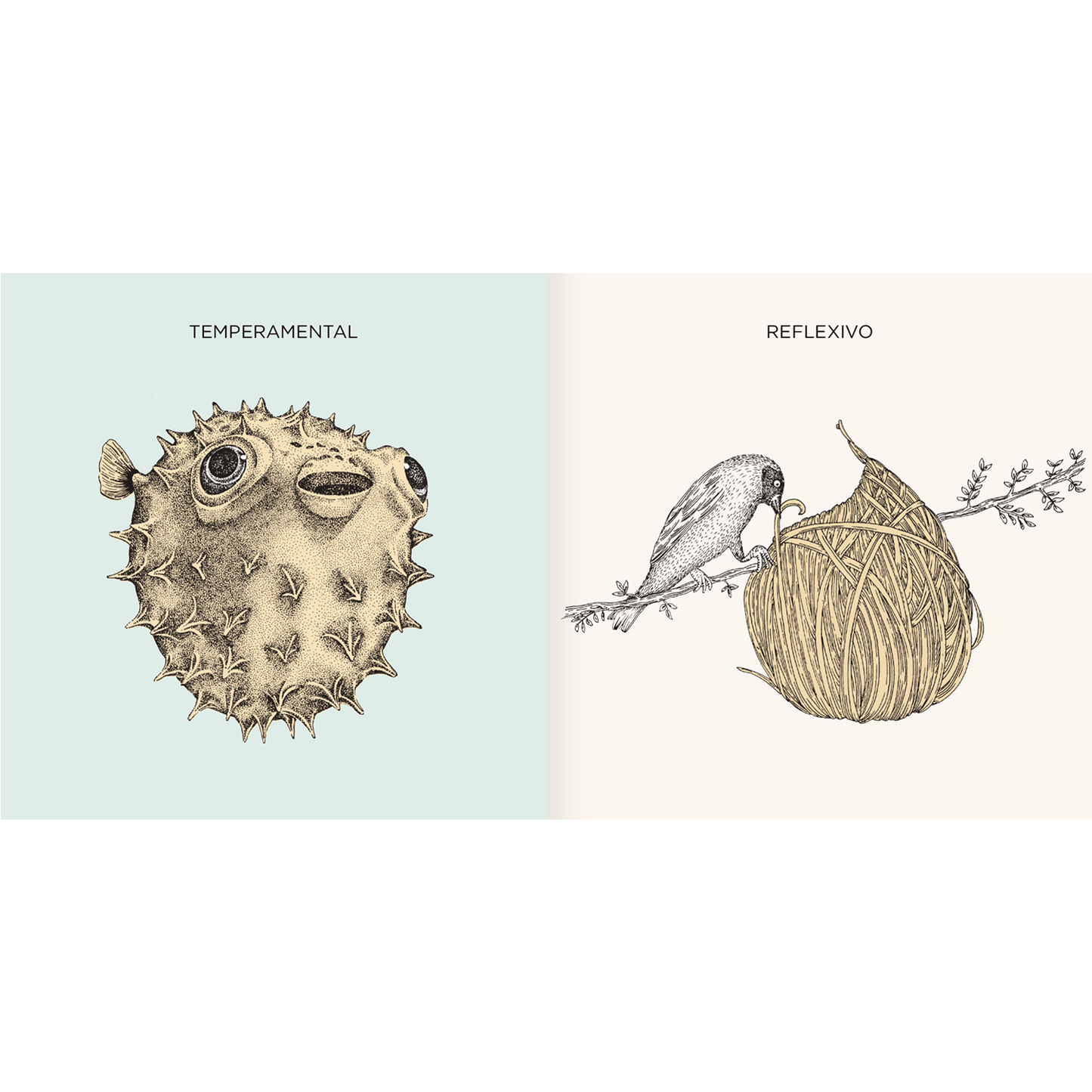 AMANUTA Libros Mi Naturalza 978-956-364-251-3