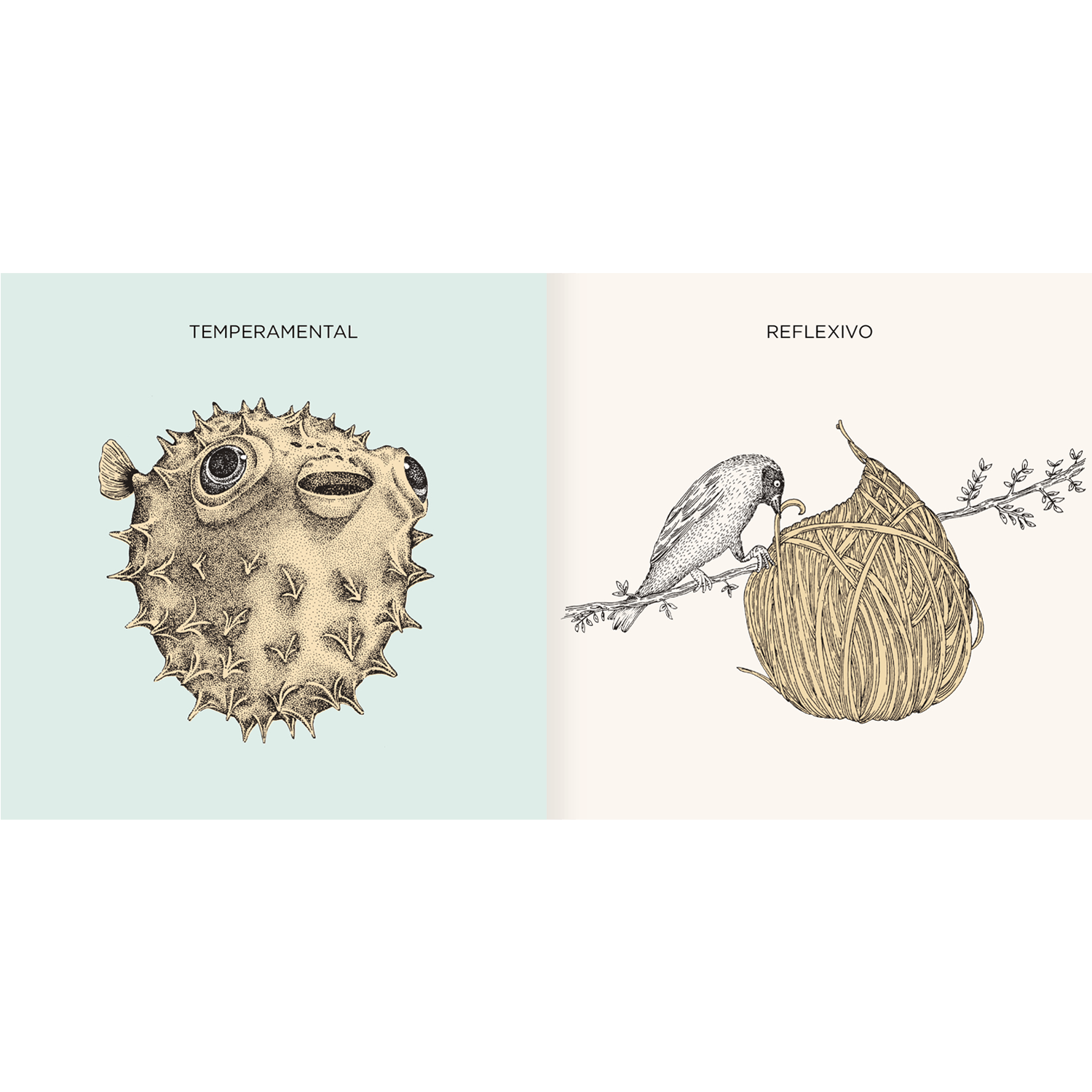 AMANUTA Libros Mi Naturalza 978-956-364-251-3