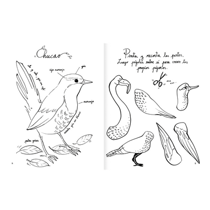 AMANUTA Libros Pintapájaros 978-956-364-133-2