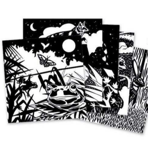 Design By Djeco Arte y Manualidades Tarjetas Bosque de terciopelo para colorear DJ09623